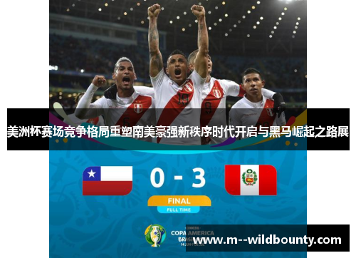 美洲杯赛场竞争格局重塑南美豪强新秩序时代开启与黑马崛起之路展