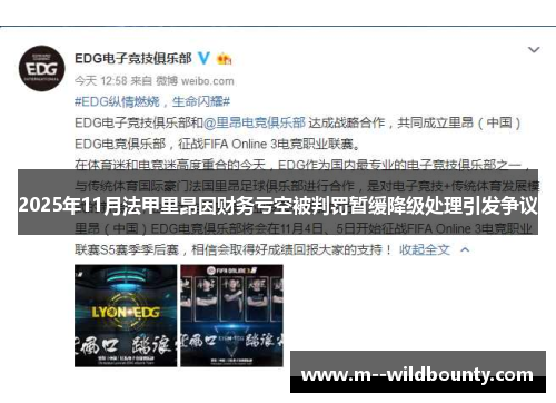 2025年11月法甲里昂因财务亏空被判罚暂缓降级处理引发争议