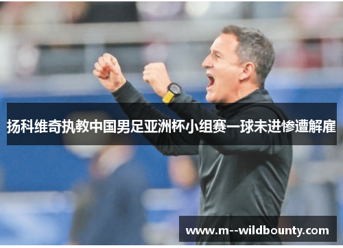 扬科维奇执教中国男足亚洲杯小组赛一球未进惨遭解雇