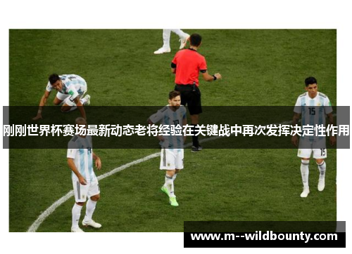 刚刚世界杯赛场最新动态老将经验在关键战中再次发挥决定性作用